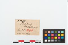 Etikett zu Bronzemehrkopfnadel (NHMW-PRAE-025207)